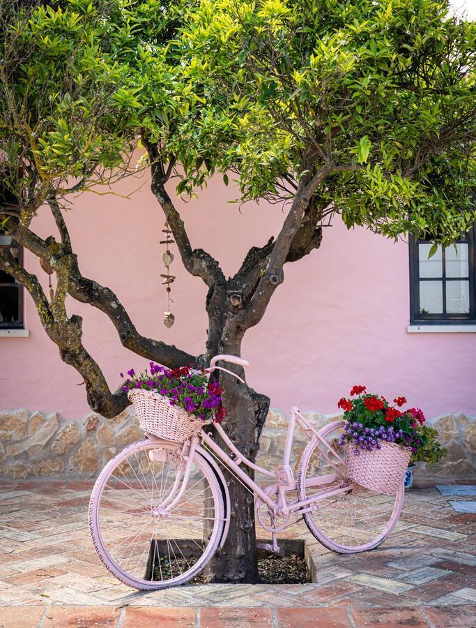 Quinta Aida Cottage And B&B Suites Lagoa  Eksteriør billede