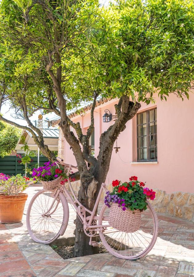 Quinta Aida Cottage And B&B Suites Lagoa  Eksteriør billede