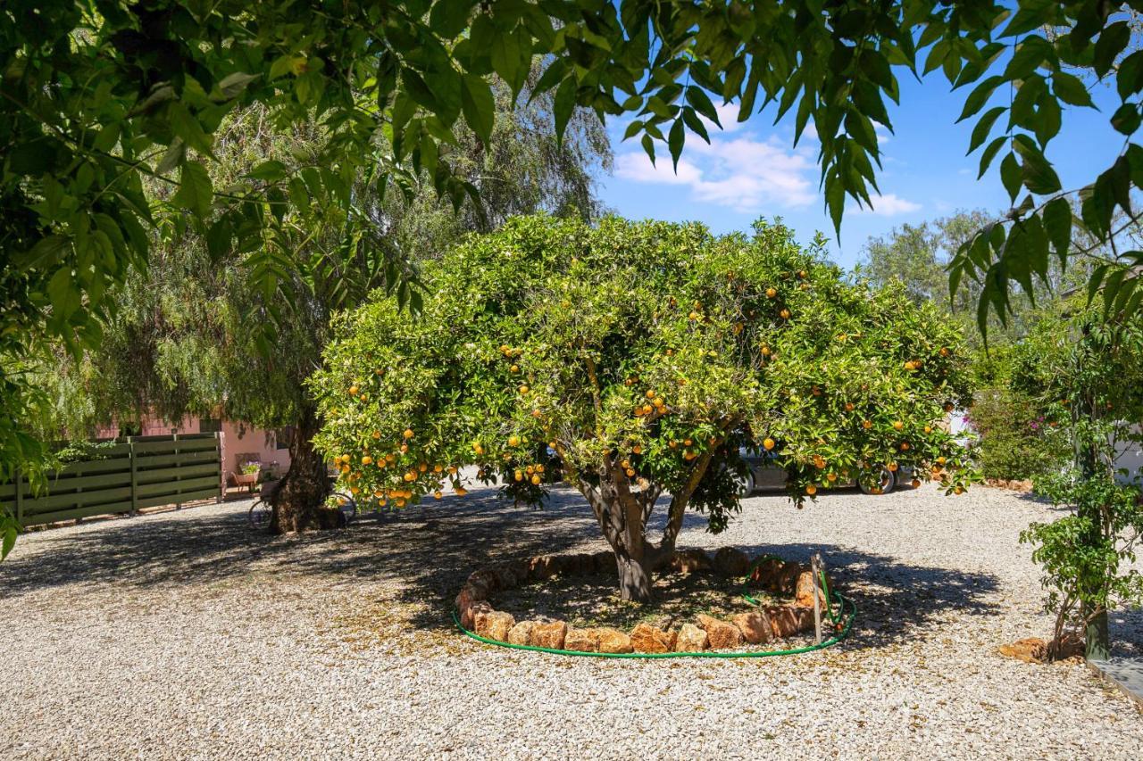 Quinta Aida Cottage And B&B Suites Lagoa  Eksteriør billede